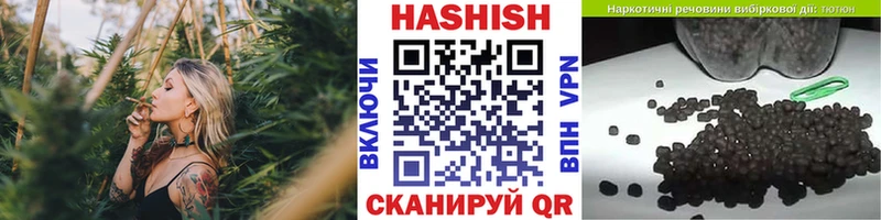 купить закладку  Нерчинск  OMG зеркало  Гашиш AMNESIA HAZE 