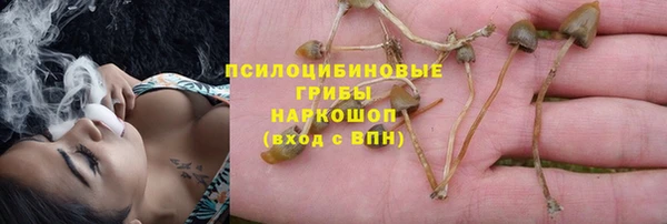 спиды Богородицк