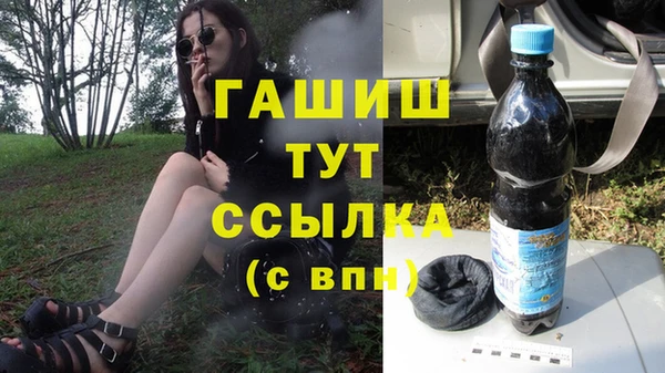 спиды Богородицк