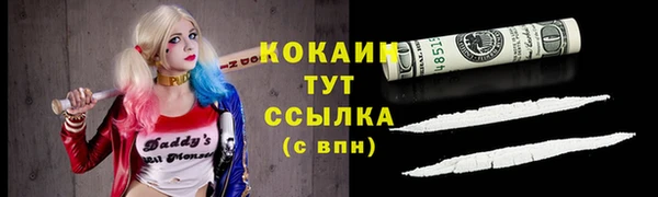твердый Богородск
