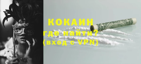 спиды Богородицк