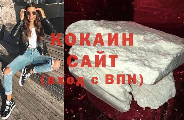 спиды Богородицк