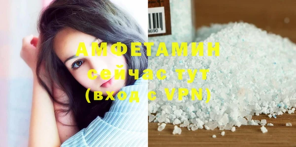 спиды Богородицк