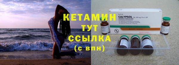 спиды Богородицк
