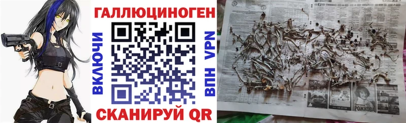Галлюциногенные грибы мицелий  хочу   Нерчинск 